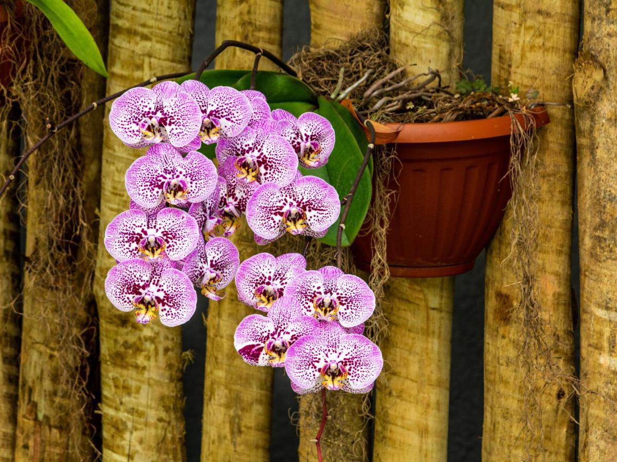 Pousada Oasis Teresopolis Luaran gambar